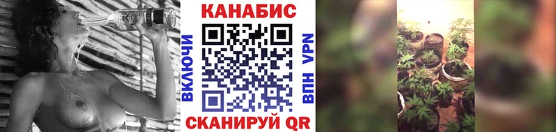 Бошки марихуана THC 21%  хочу   Сурск 